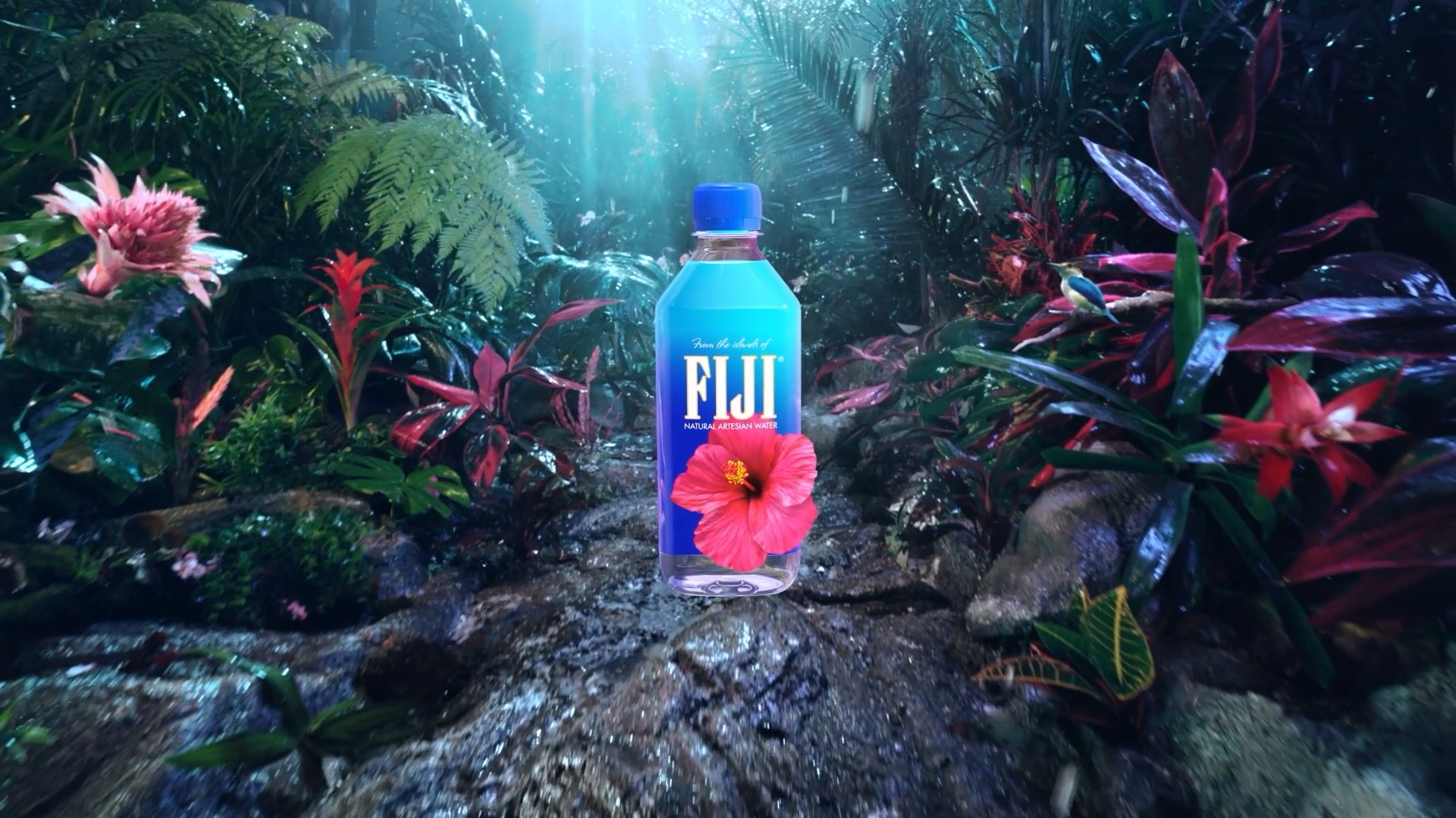 A bottle of FIJI water placed on a rock in a lush, tropical jungle setting with vibrant plants and sunlight filtering through.
